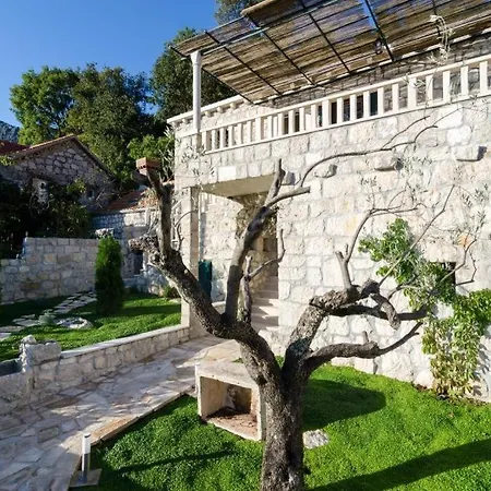 Villa Falcon Rook