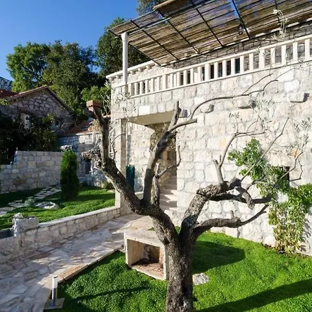 Vila Falcon Rook Gruda